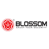 BLOSSOM